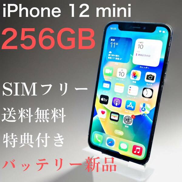 iPhone 12 mini 256GB ブラック SIMフリー【特典付き】