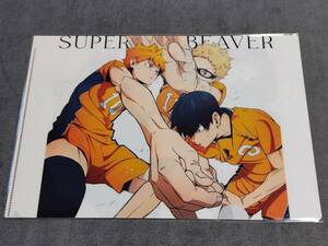 ☆クリアファイル☆ ハイキュー!! TO THE TOP　第2クールOP　CD「突破口/SUPER BEAVER」 アニメイト購入特典 非売品 /gb26