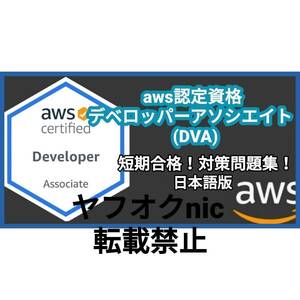 安心匿名対応【DVA】AWS認定 Developer Associate デベロッパー アソシエイト 約450問/問題集/対策集/日本語版/資格/AWS②