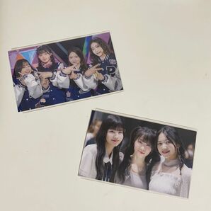 日プ ファンブック 桜庭遥花