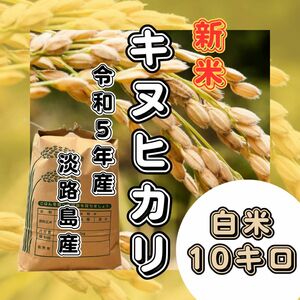 【新米　令和5年産】淡路島産　キヌヒカリ　白米10キロ　低農薬　産地直送　無洗米