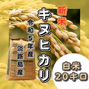 【新米　令和5年産】淡路島産　キヌヒカリ　白米20キロ　低農薬　産地直送　無洗米