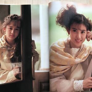 10 8827   ウインク 写真集  Wink PICTORIAL WINKISSIMO  1990年初版   最終出品の画像4