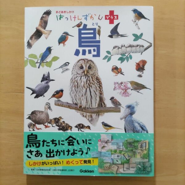 Gakken はっけんずかんプラス 鳥