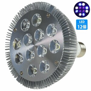 24W(2W×12) 12LED 青4/白4/紫外線4 電球 E26 口金 水槽 用 照明 植物育成 スポット ライト 12LED アクアリウム 電気 水草