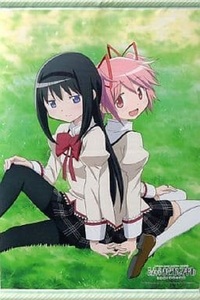 劇場版 魔法少女まどか☆マギカ[新編]叛逆の物語 Blu-ray ソフマップ購入特典 まどか＆ほむら 描きおろしB2布製タペストリー