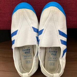 体育館シューズ