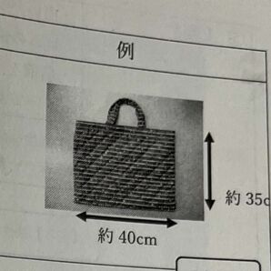 レッスンバッグ確認用