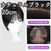 人毛100% 部分ウィッグ ヘアピース 頭頂部 ナチュラルブラック【20cm】_画像1