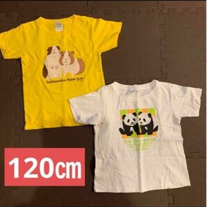 ☆120㎝☆kids キッズ　Tシャツ　2点　上野動物園　シャオシャオレイレイ　井の頭自然文化園