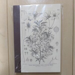 ほぼ日の方眼ノート　A6 ヤマザクラ　牧野富太郎　ほぼ日オリジナル