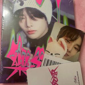 straykids スキズ　アイエン　skzoo トレカ　中華　KMS 樂　中国　I.N CD アルバム　postcard