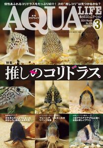 送料無料★本 月刊アクアライフ 最新号 ２０２４年３月号 ＡＱＵＡＬＩＦＥ