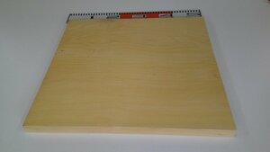 16-428　大きな日本産本榧（カヤ）の　まな板・・・俎板・台所用品・家庭用・業務用