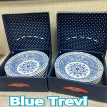 陶器 未使用 ◆ Blue Trevi ◆ カレー 皿 5枚入りｘ2箱 セット ◆ ブルー トレビ ◆ SANYO JAPAN 箱入り_画像1