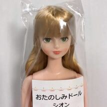 シオン グリーンの瞳 リカちゃんキャッスル ジェニーフレンド jenny doll 1/6 ドール 人形 ジェニー licca castle 27cm リトルファクトリー_画像2