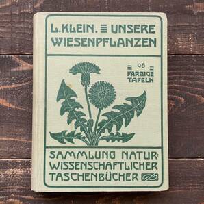 ドイツの古い植物図鑑(UNSERE WIESENPFLANZEN 1924年)/アンティーク ヴィンテージ ヨーロッパ 植物画 ボタニカルアート 雰囲気◎/の画像1