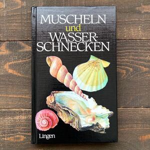 ドイツの古い貝殻の図鑑(MUSCHELN und WASSERSCHNECKEN 1987年)/アンティーク ヴィンテージ ヨーロッパ 貝殻図鑑 海洋生物 美品 雰囲気◎/