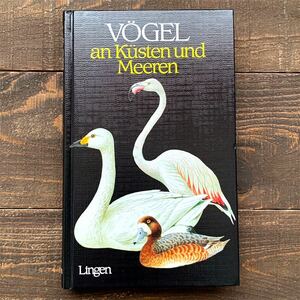 ドイツの古い鳥と卵の図鑑(VOGEL an Kusten und Meeren 1988年)/アンティーク ヴィンテージ ヨーロッパ 鳥図鑑 鳥の絵 美品 雰囲気◎/