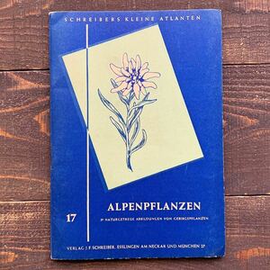 ドイツの古い植物図鑑(ALPENPFLANZEN)/アンティーク ヴィンテージ ヨーロッパ 洋書 植物画 ボタニカルアート 高山植物 花の絵 雰囲気◎/