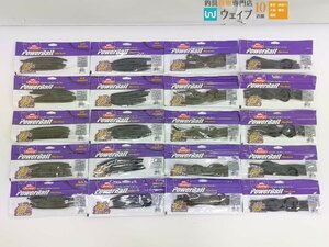 バークレイ パワーベイト マックスセント ジェネラル 6 グリーンパンプキンパーティ・キングテール 8 ブラック 他 計20点 新品