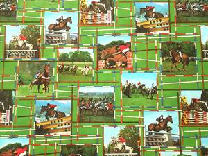 スイス製 ヴィンテージ＆レトロ ワックスペーパー,包装紙 (乗馬、ホースライディング、競馬、騎馬) 50cm x 50cm