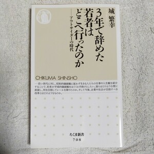 3年で辞めた若者はどこへ行ったのか: アウトサイダーの時代 (ちくま新書) 城 繁幸 9784480064141