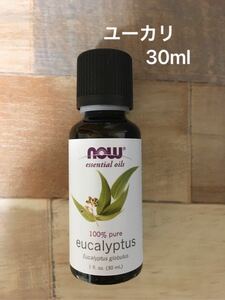 100% natural eucalyptus essential oil 30ml{ aroma oil now foodsnauf-z}