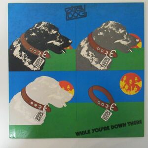 ROCK LP/ライナー付き美盤/Stray Dog - While You're Down There/B-11764
