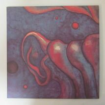 ROCK LP/見開きジャケット/ライナー付き美盤/King Crimson - In The Court Of The Crimson King (An Observation By King Crimson)/B-11762_画像2