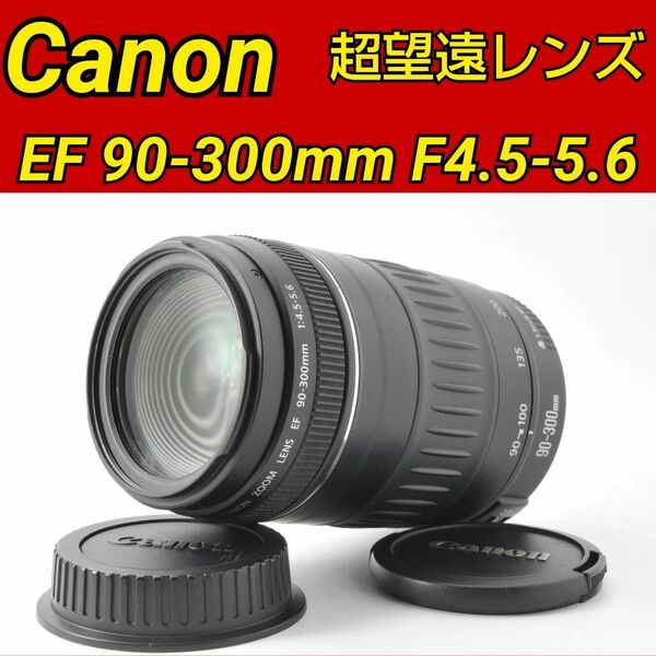 Canon EF 90-300mm F4.5-5.6 超望遠レンズ 大人気 キヤノン