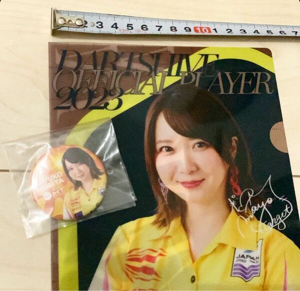 非売品 森田真結子 限定 まよんぬ ダーツハイブ バッジ ミニクリアファイル ダーツ ダーツライブ DARTSLIVE darts