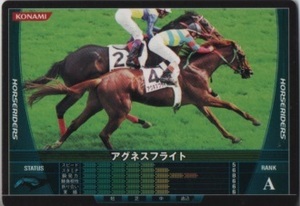 HORSE RIDERS　カード　HB07B109／200　アグネスフライト　競馬　JRA　競走馬