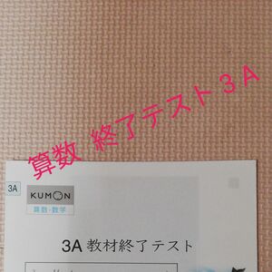 KUMON　算数 数学3 A 教材終了テスト