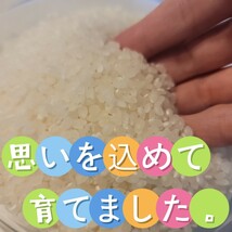 値下げ4200円→3999円！注文後に精米します！新米【令和5年産】三重県 伊賀米 コシヒカリ 10㎏ _画像2