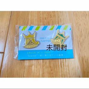 嵐 会場限定 君と僕の見ている風景 札幌