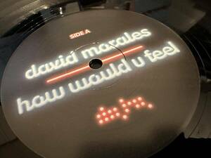 12”★David Morales / How Would U Feel / Peter Rauhofer / Philippe B / ヴォーカル・ハウス！