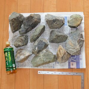 アクアリウム用 青華石 清流石 龍王石 青龍石 中型水槽用 セット 16kg