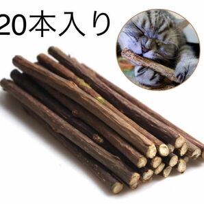 20本 猫用純天然マタタビ またたびの木 噛む おもちゃ 歯ぎしり棒