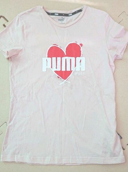 プーマ　PUMA Tシャツ　美品