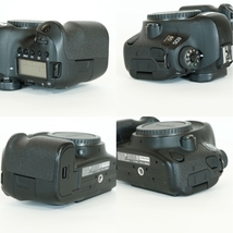 [シャッター数25,444回] Canon EOS 6D Mark II ボディ / デジタル一眼レフ / フルサイズ / キヤノンEFマウント_画像9