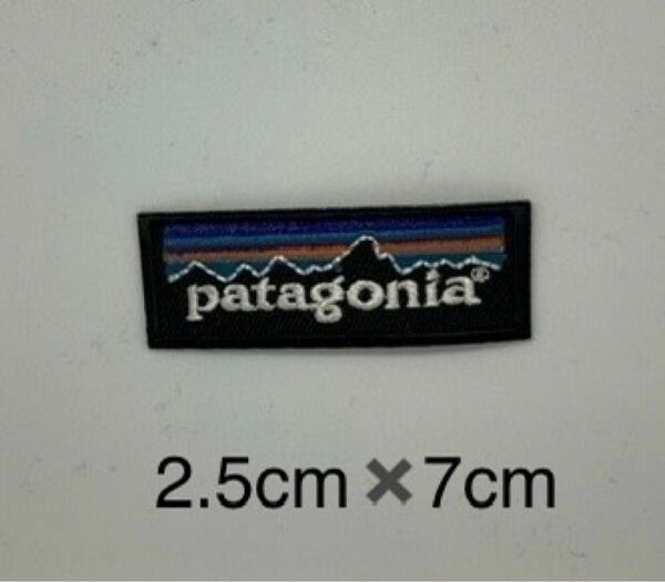 パタゴニア patagonia ワッペン 美品
