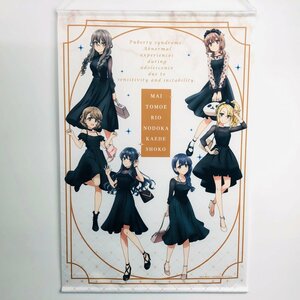 中古品 青春ブタ野郎はバニーガール先輩の夢を見ない 5th Anniversary Shop 集合 B2タペストリー シックドレス ver.