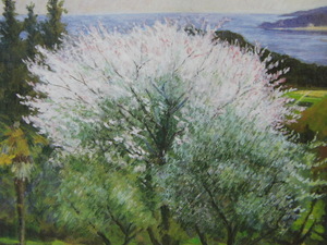 Art hand Auction Nobuo Yamashita, [Ushimado Sakura], De un raro libro de arte enmarcado., Productos de belleza, Nuevo con marco, interior, primavera, Flores de cerezo, cuadro, pintura al óleo, Naturaleza, Pintura de paisaje