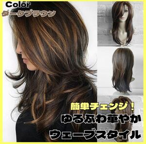  dark brown gradation color net attaching full wig long mesh Layered style ime changer dressing up ime changer 