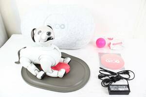 ソニー アイボ ERS-1000 アイボーン ボール AIBO 犬型 ロボット ペット SONY ITVYH3OG4VOO-YR-S75-byebye