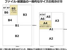 キングジム 冷蔵庫ピタッとファイル A4S 見開きポケットタイプ A4S 2921 白_画像5