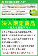 訳あり 法人限定 パーソナルロッカー 10人用 スリム 木目 1列10段 オフィス スチール ロッカー メールロッカー 靴箱 鍵付 FAC-S10-P-C-OUT_画像10