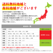 訳あり 法人限定 ロッカー 10人用 スリム 木目 1列10段 かぎ付き オフィス スチール 下駄箱 シューズボックス 靴入れ 業務用 FAC-S10-C-OUT_画像2