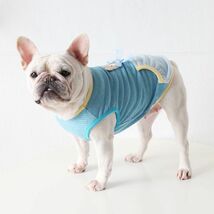 アクアXLサイズ◆【残り数枚】犬服 中型犬用 ドッグウェア くまさん ボーダー タンク 熊 カットソー 新作 ペット 新品 春 夏 秋 冬 犬用品_画像3